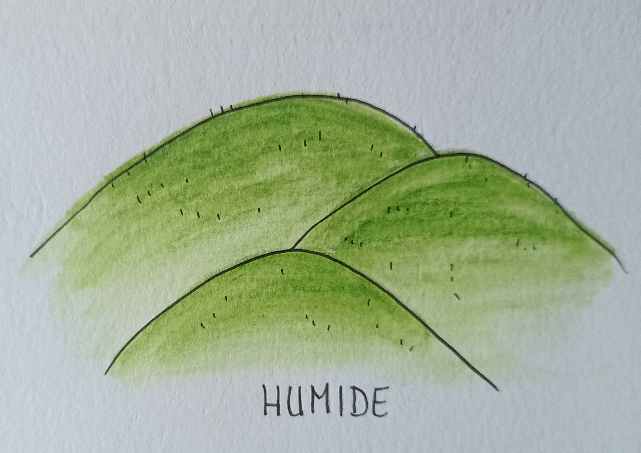 Paysage vivant et gestion naturelle de l’eau